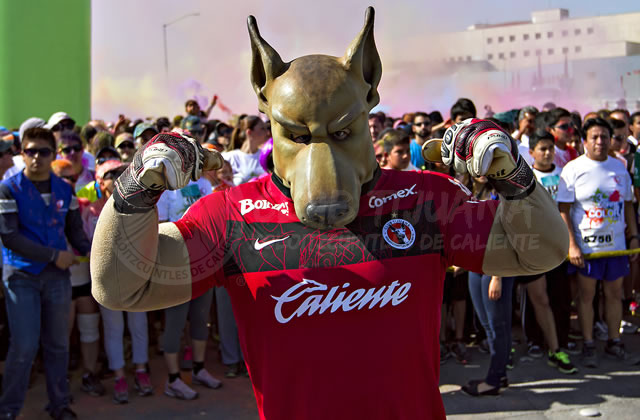 Real Tijuana Donkey Show Video.